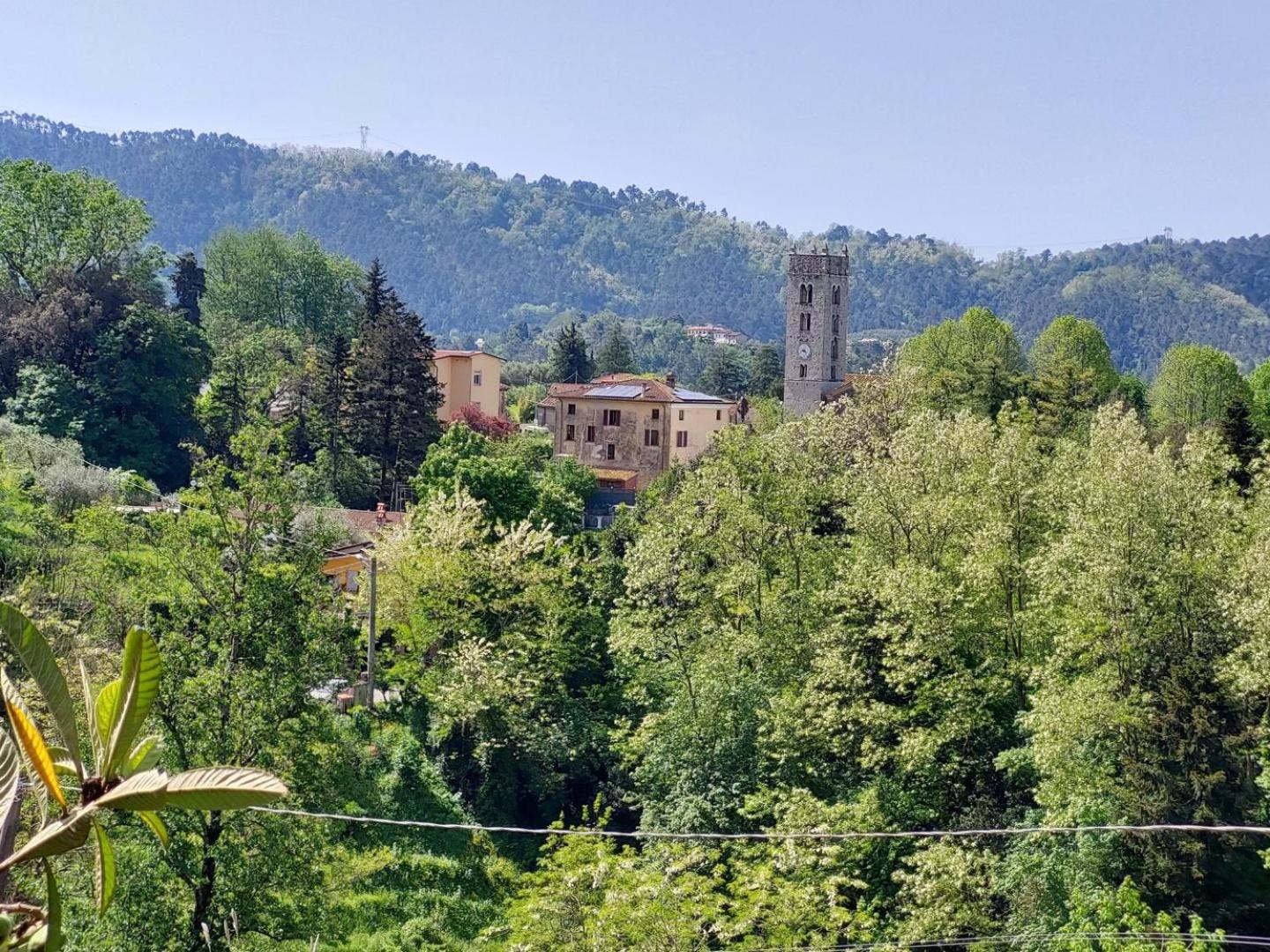 Villa La Pieve Camaiore Eksteriør billede