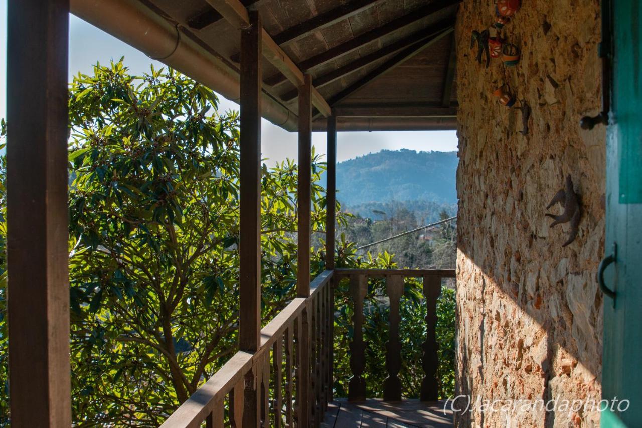 Villa La Pieve Camaiore Eksteriør billede