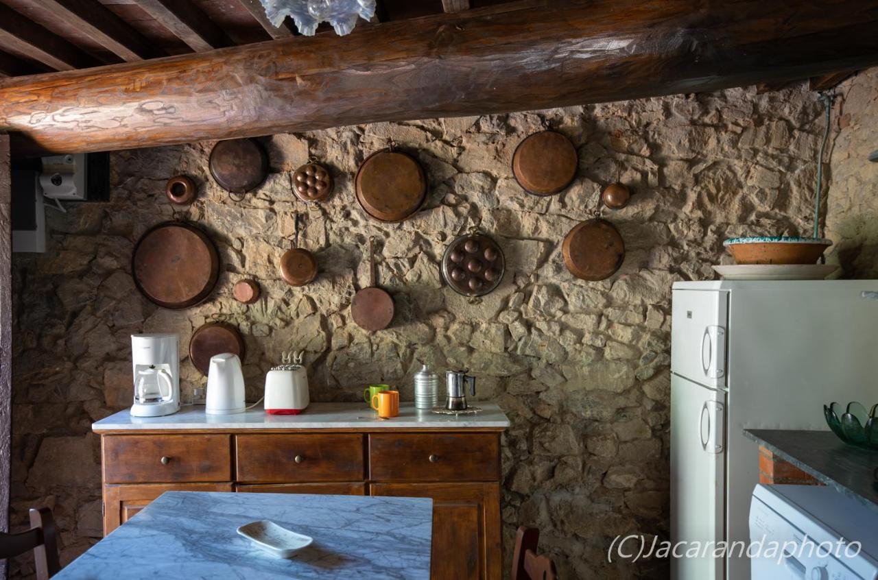 Villa La Pieve Camaiore Eksteriør billede